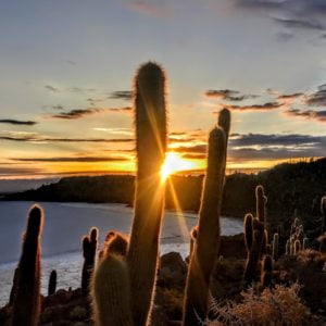 Salar de Uyuni 4d/3n colectivo
